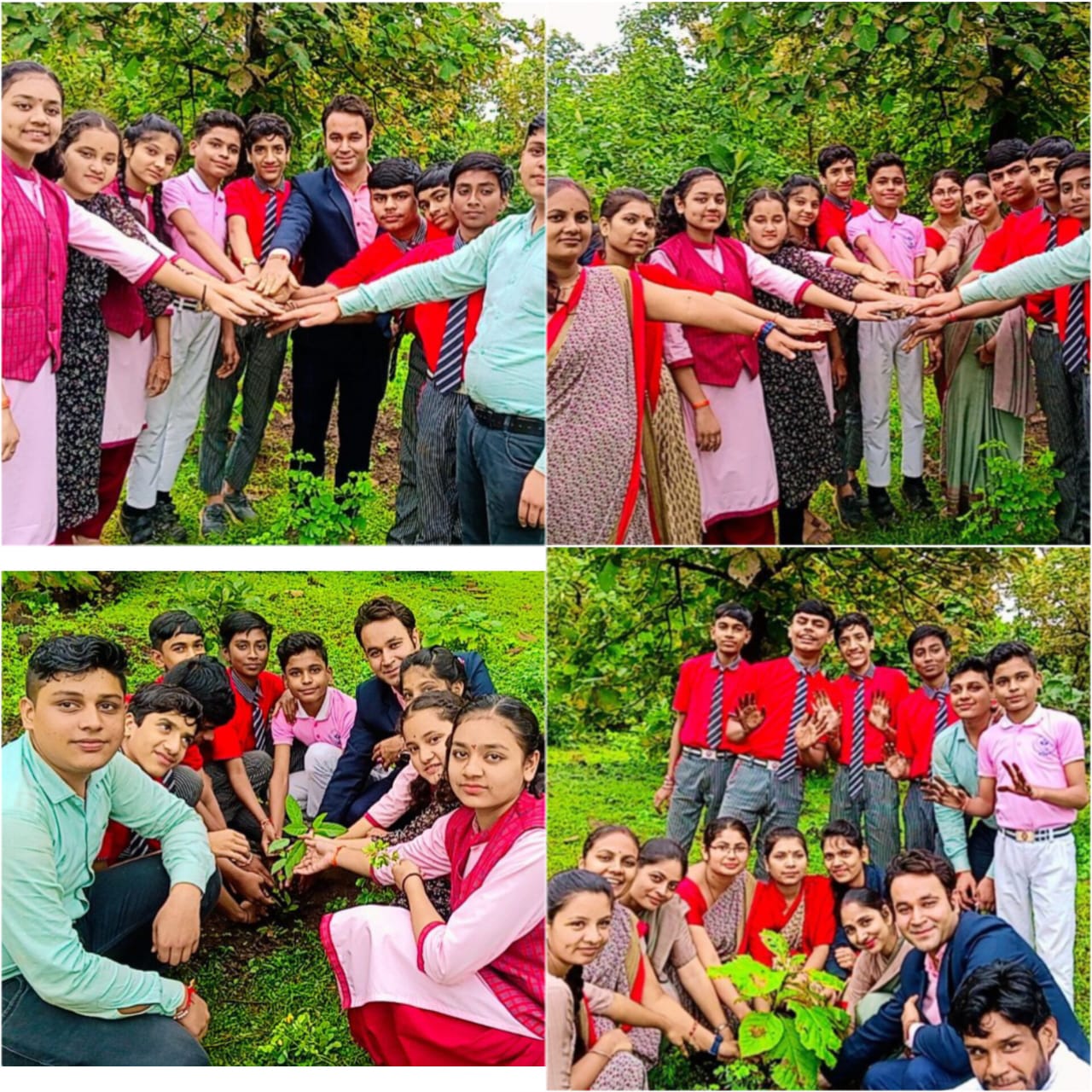 Tree Plantation
